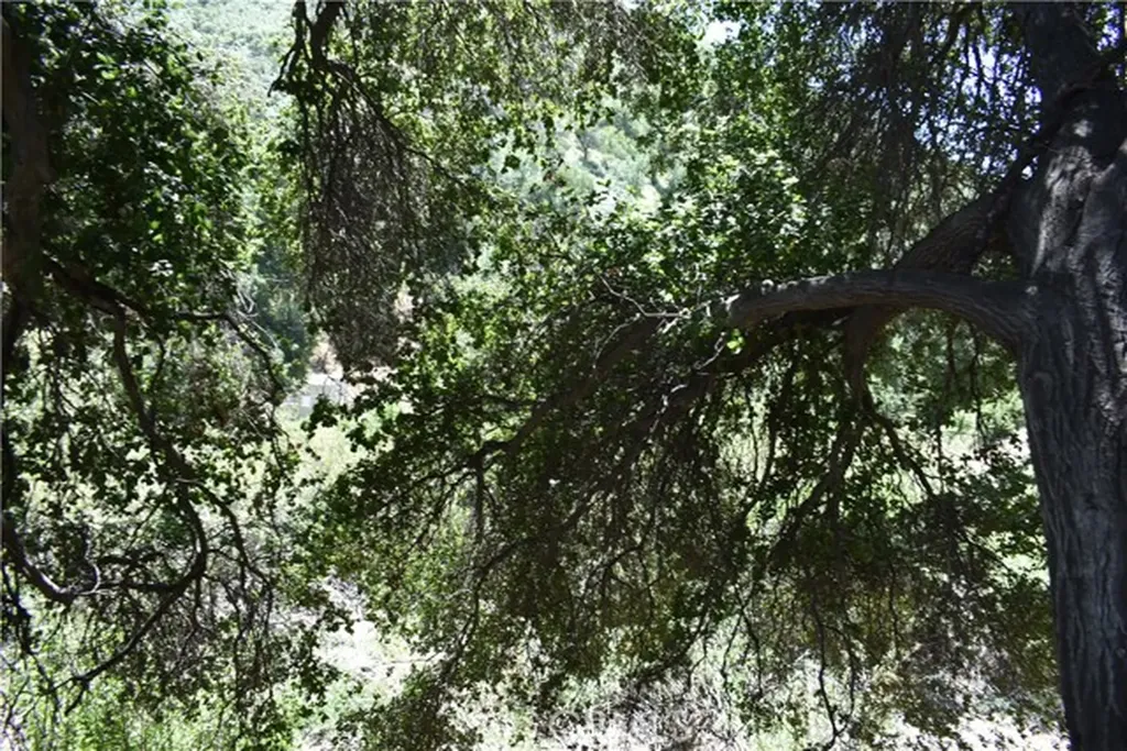 0 Vac Calle El Baranco/vic Spunk Green Valley CA 91350