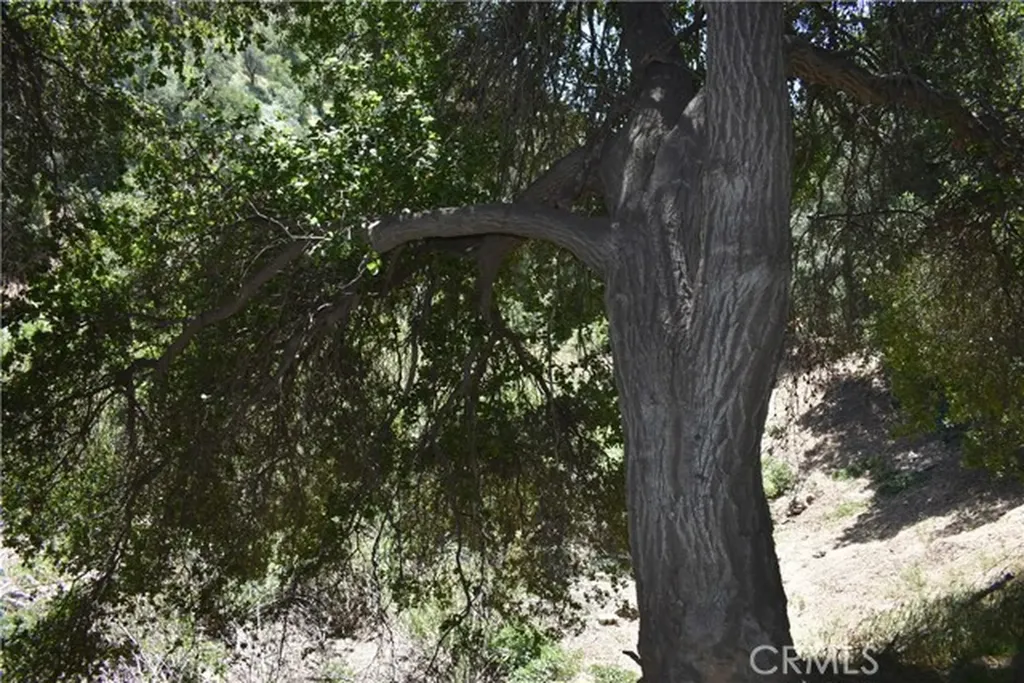0 Vac Calle El Baranco/vic Spunk Green Valley CA 91350