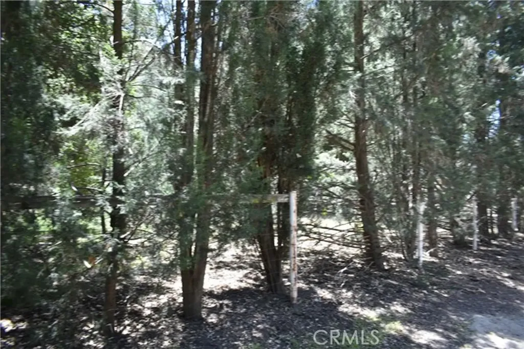 0 Vac Calle El Baranco/vic Spunk Green Valley CA 91350