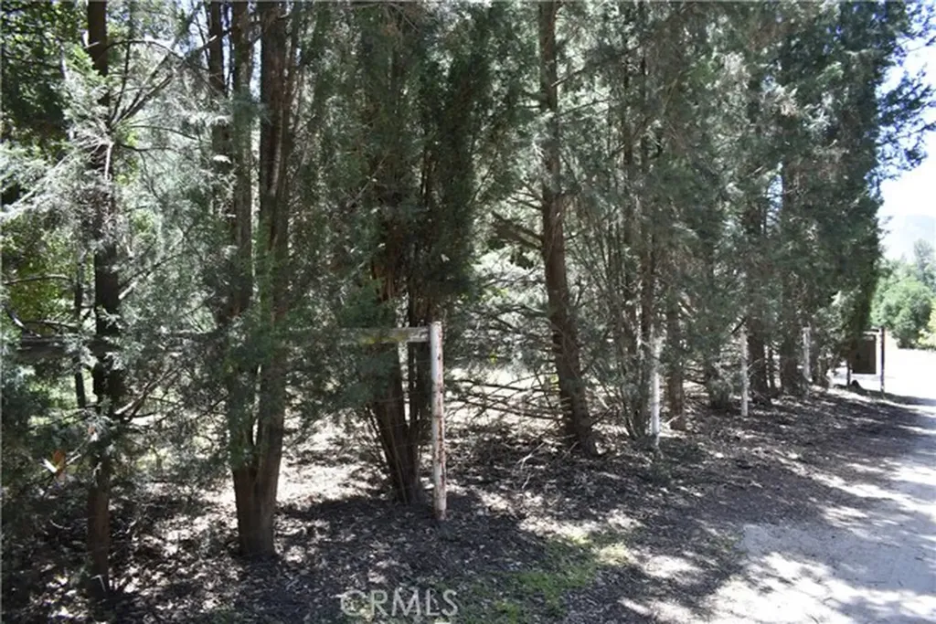 0 Vac Calle El Baranco/vic Spunk Green Valley CA 91350