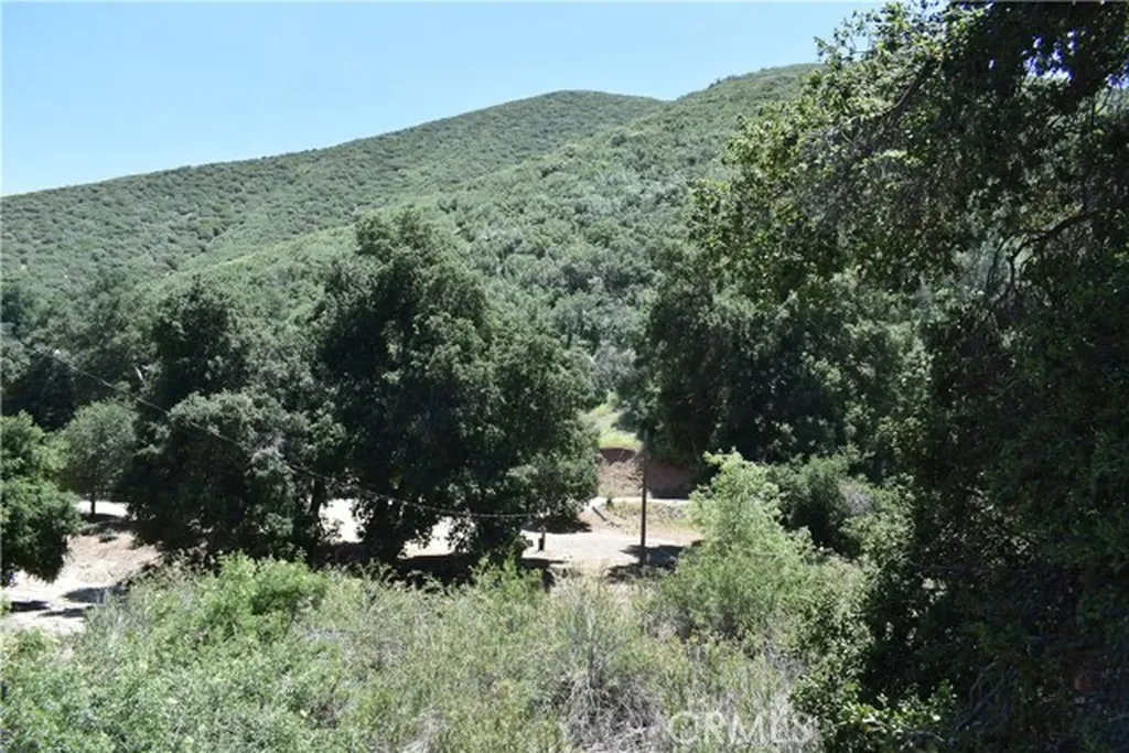 0 Vac Calle El Baranco/vic Spunk Green Valley CA 91350