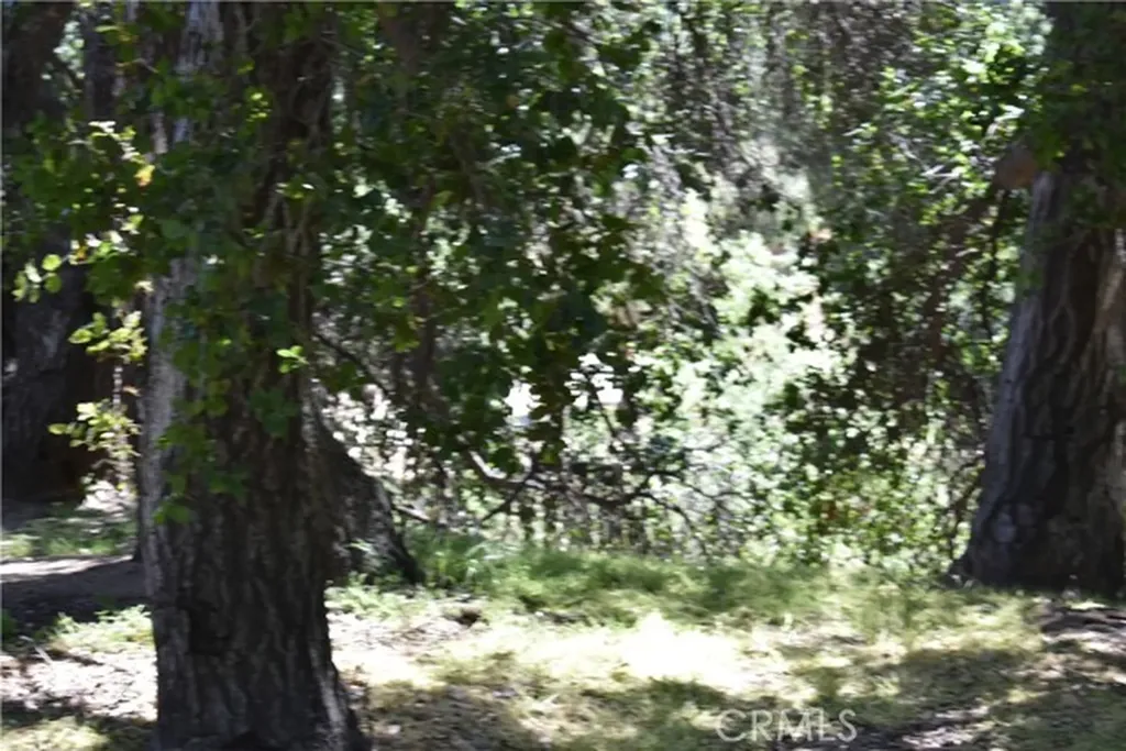 0 Vac Calle El Baranco/vic Spunk Green Valley CA 91350