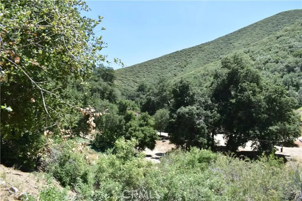 0 Vac Calle El Baranco/vic Spunk Green Valley CA 91350