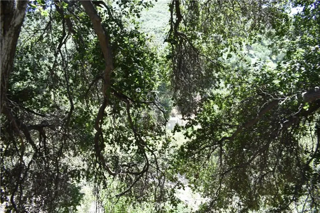 0 Vac Calle El Baranco/vic Spunk Green Valley CA 91350
