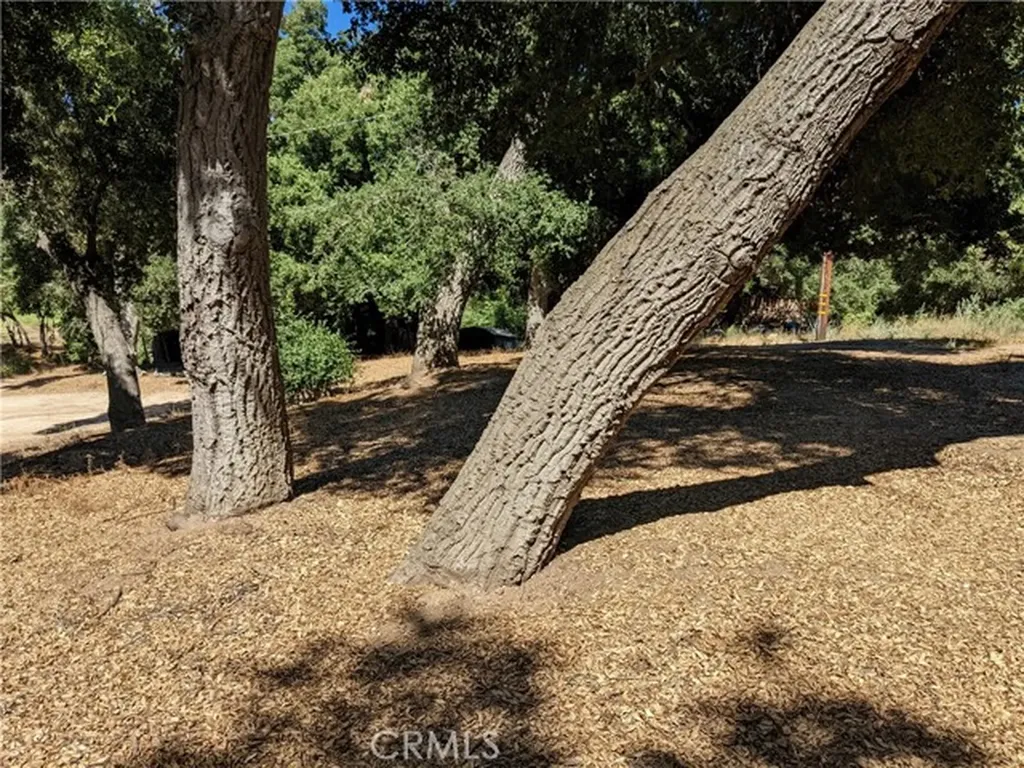 0 San Francisquito Canyon Road Green Valley CA 91350