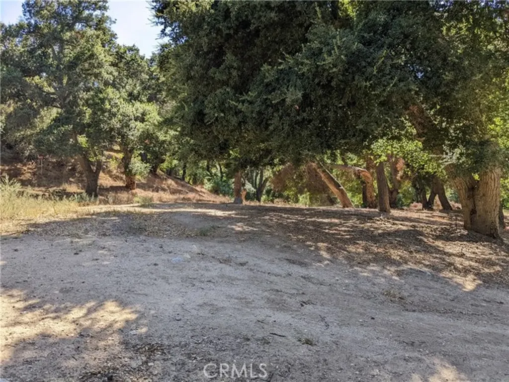 0 San Francisquito Canyon Road Green Valley CA 91350