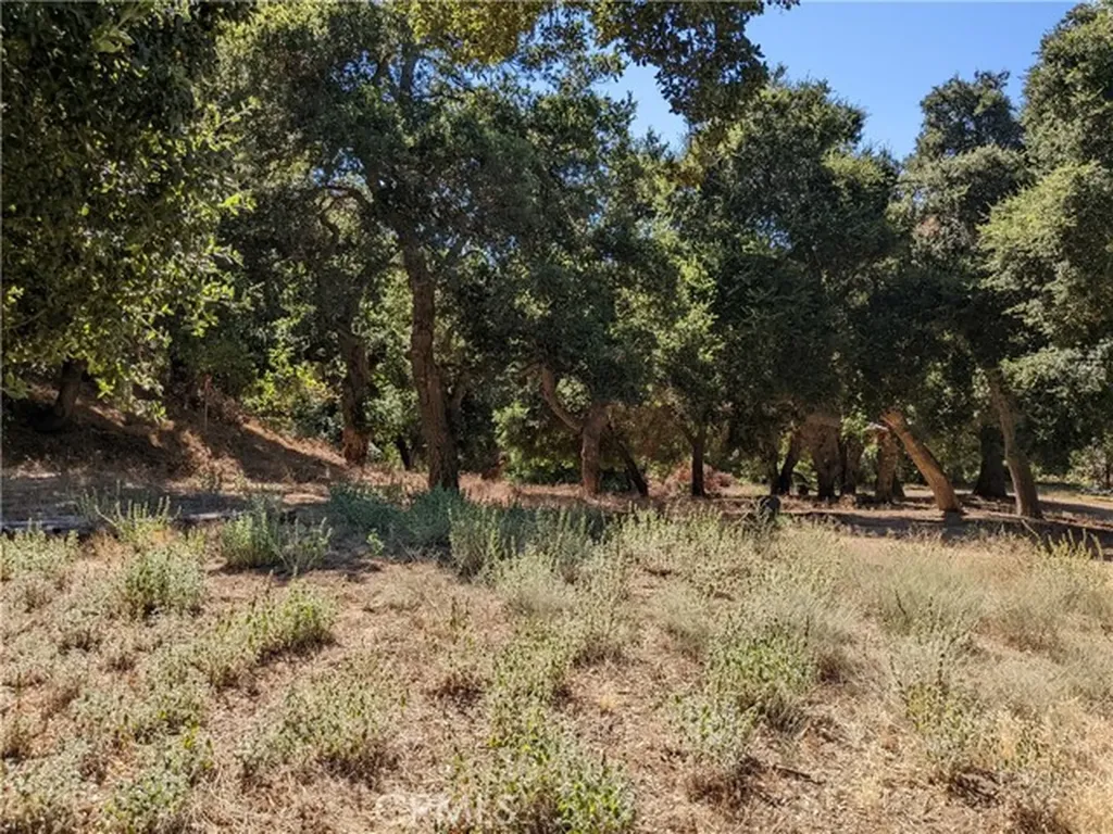 0 San Francisquito Canyon Road Green Valley CA 91350