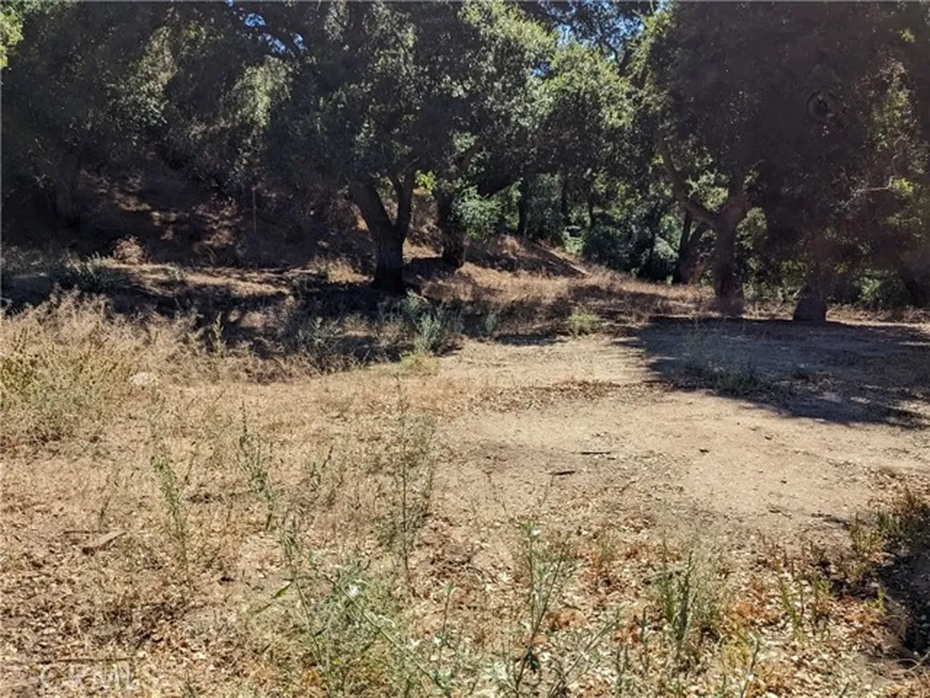 0 San Francisquito Canyon Road Green Valley CA 91350