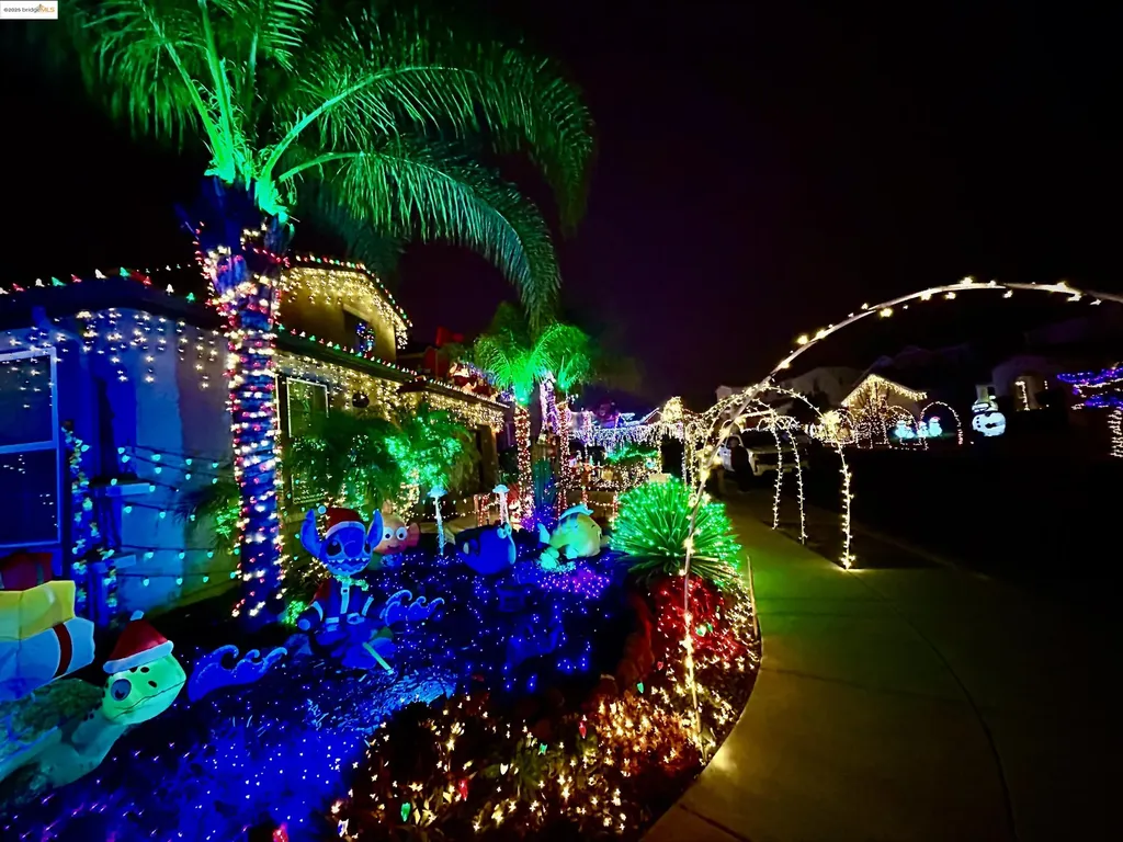 2910 Mesa Oak Court Brentwood CA 94513