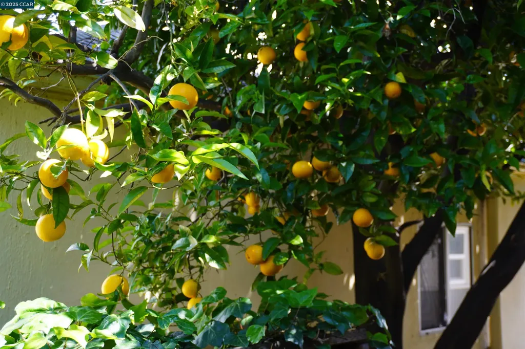 2645 Maxwell Oakland CA 94619