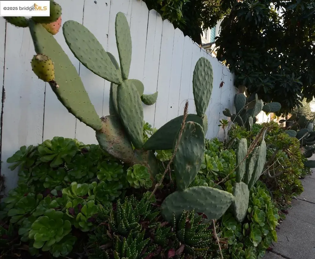 1633 8th Street Oakland CA 94607