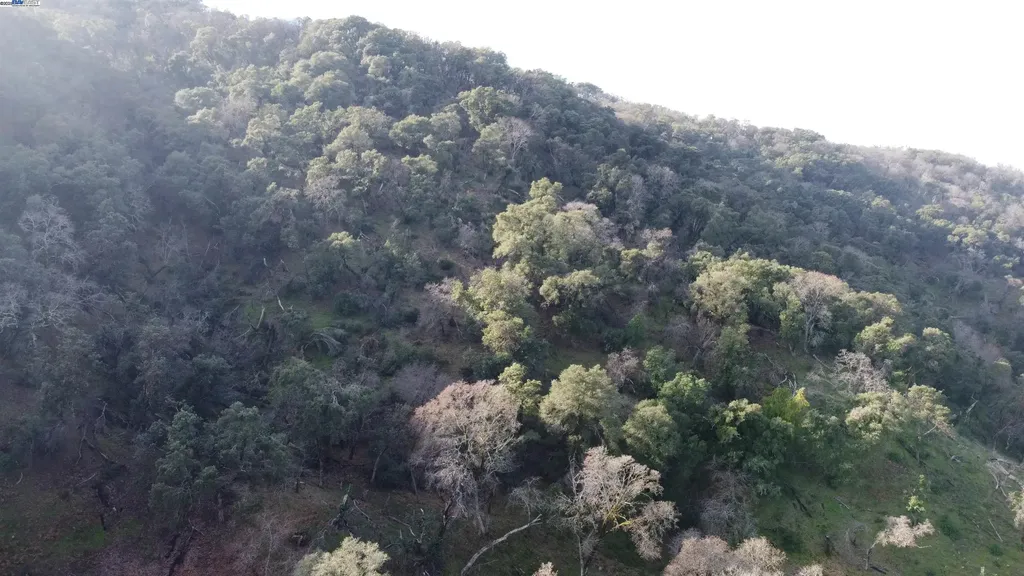 116 Ridgecrest Drive Napa CA 94558