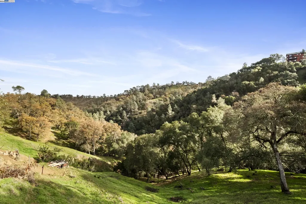 1239 Steele Canyon Napa CA 94558