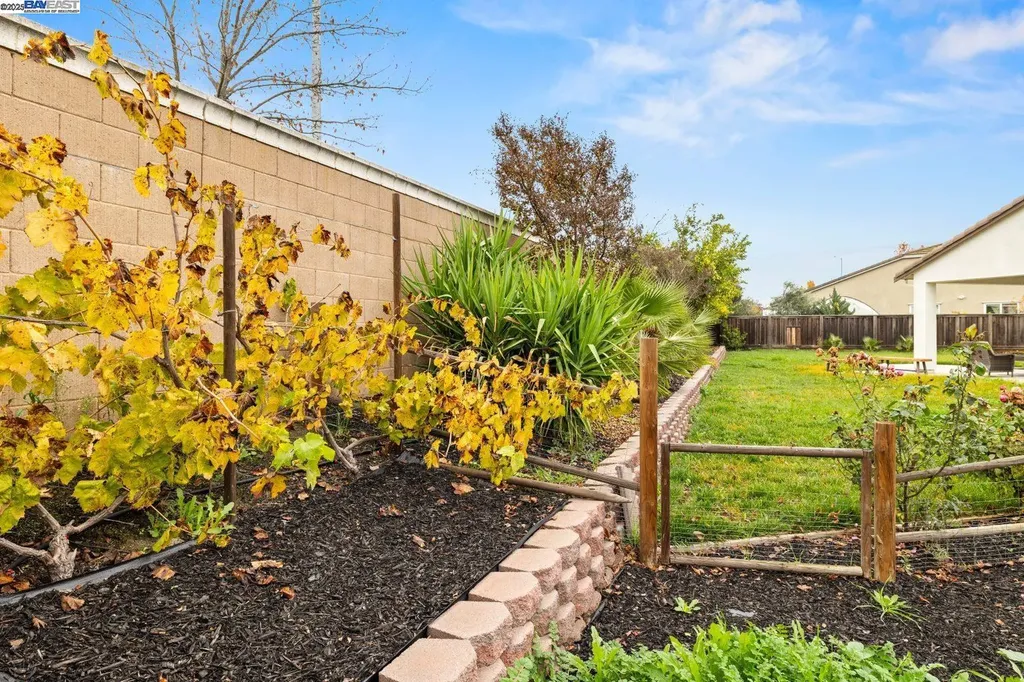 917 Talaria Court Oakley CA 94561
