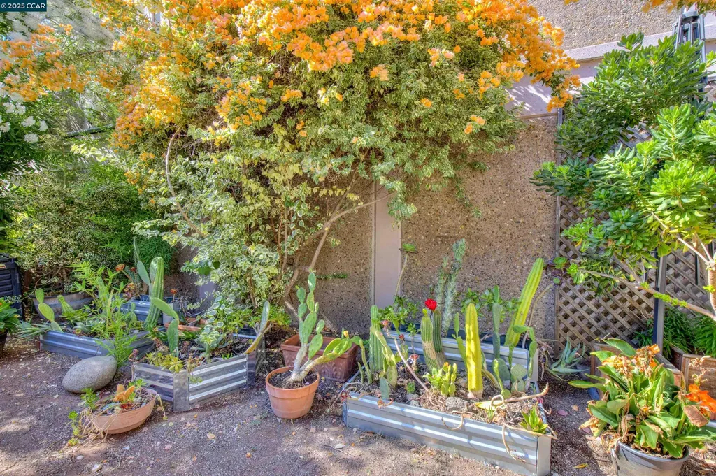 1679 Carmel Drive Walnut Creek CA 94596