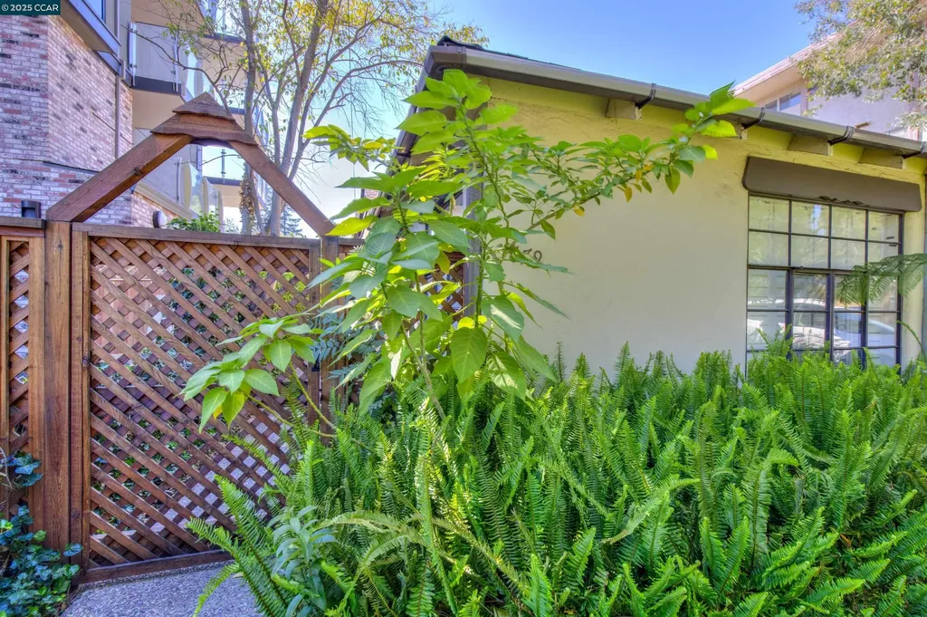 1679 Carmel Drive Walnut Creek CA 94596