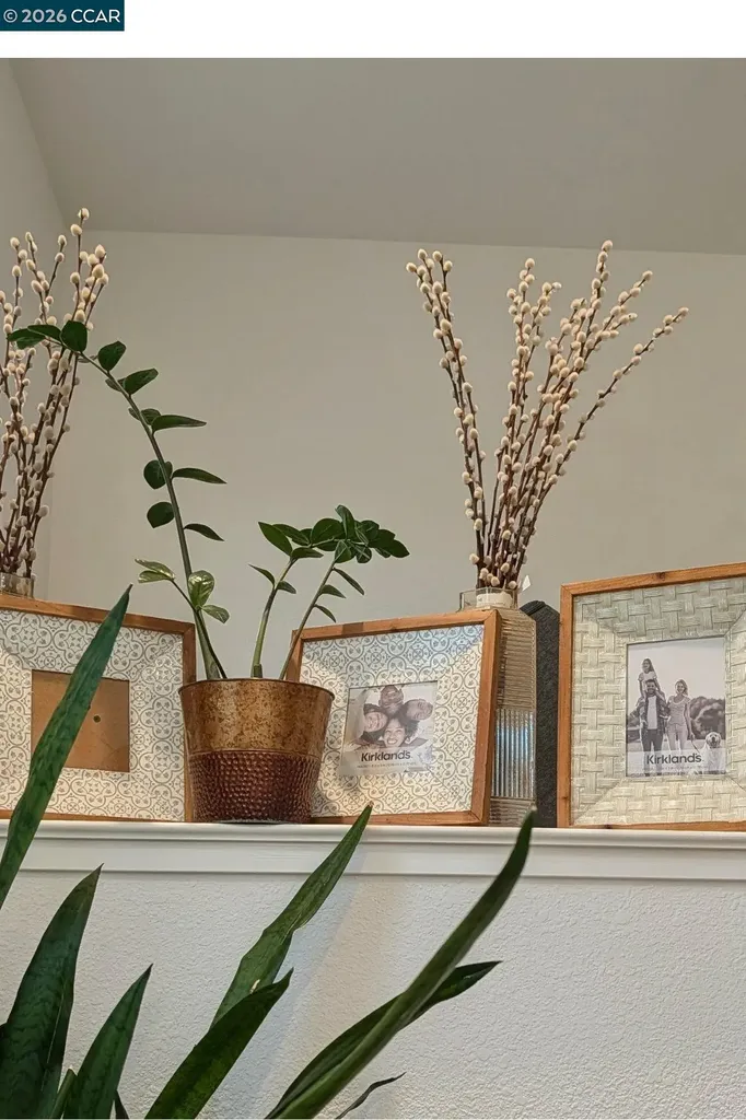 50 Driftwood Circle Bay Point CA 94565