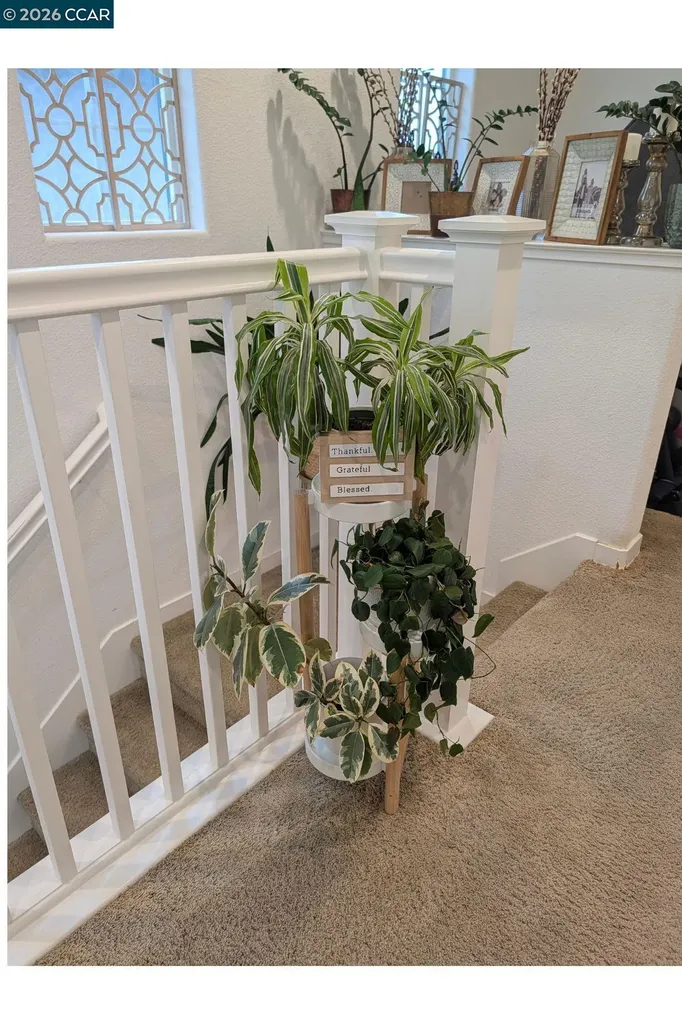 50 Driftwood Circle Bay Point CA 94565