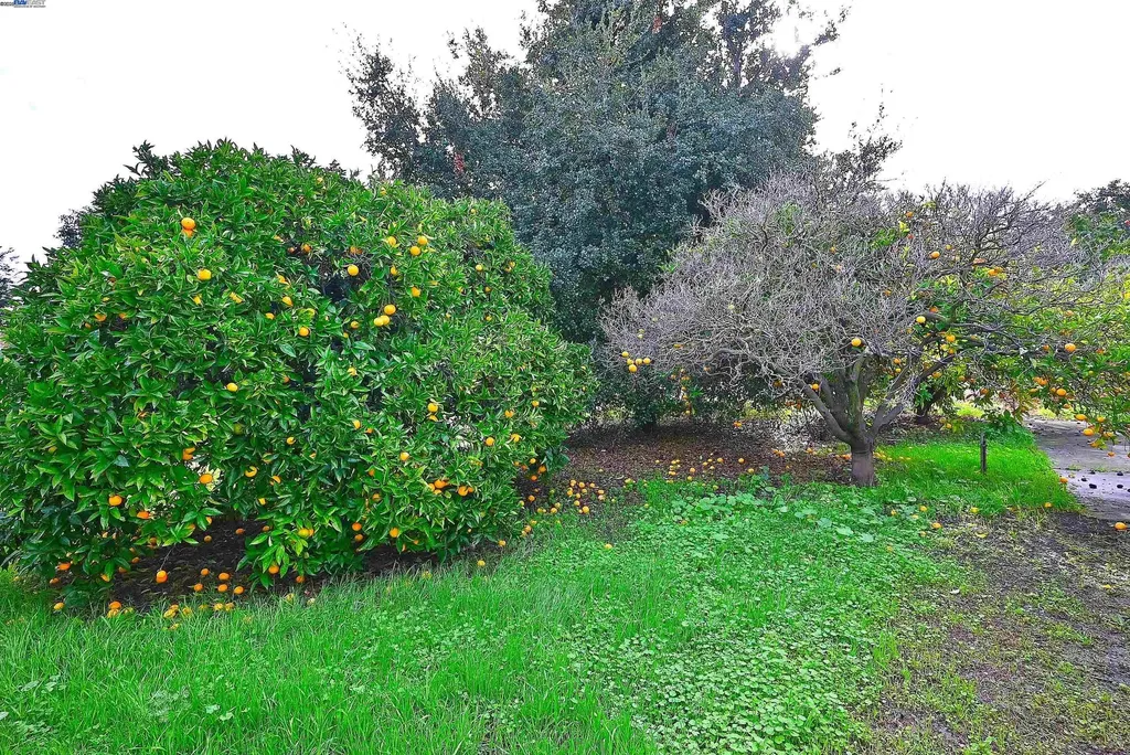 181 Lewelling Boulevard San Lorenzo CA 94580