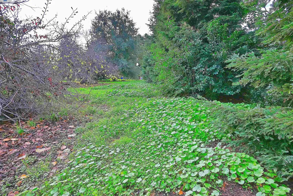 181 Lewelling Boulevard San Lorenzo CA 94580