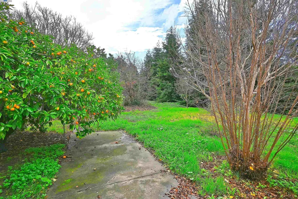 181 Lewelling Boulevard San Lorenzo CA 94580