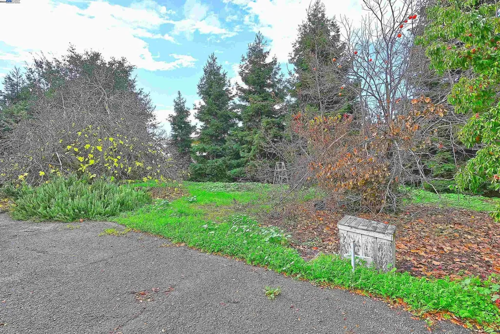 181 Lewelling Boulevard San Lorenzo CA 94580