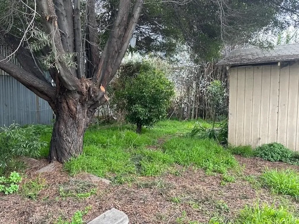 1024 50th Avenue Oakland CA 94601