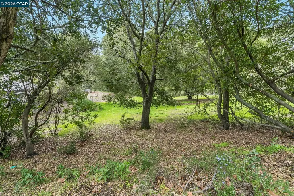 9 Charles Hill Road Orinda CA 94563
