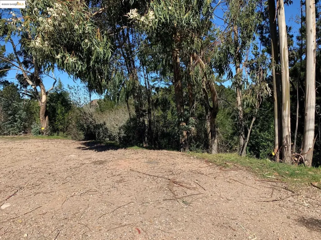 89 Starkville Court Orinda CA 94563
