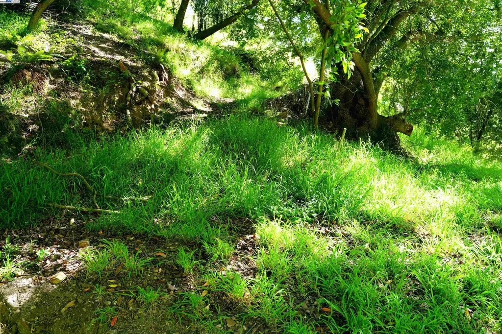 00 Willowbank Court Oakland CA 94611