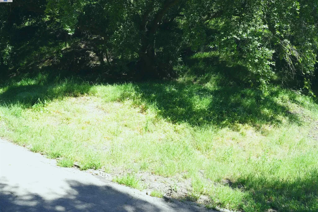 00 Willowbank Court Oakland CA 94611
