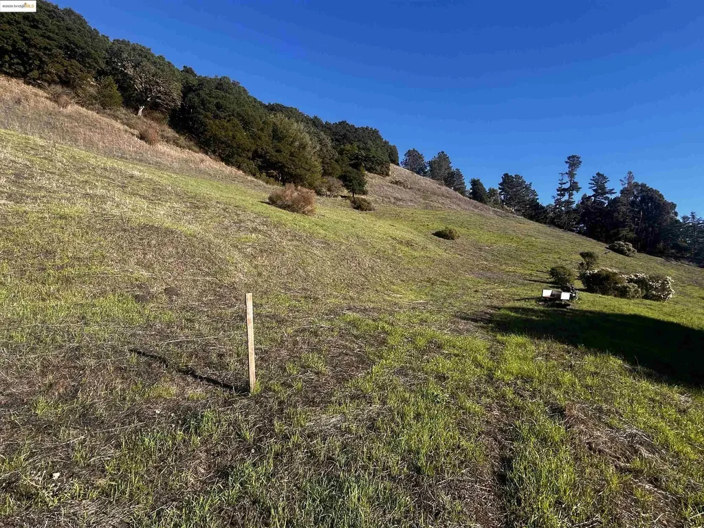 15 Abbie Lane El Sobrante CA 94803