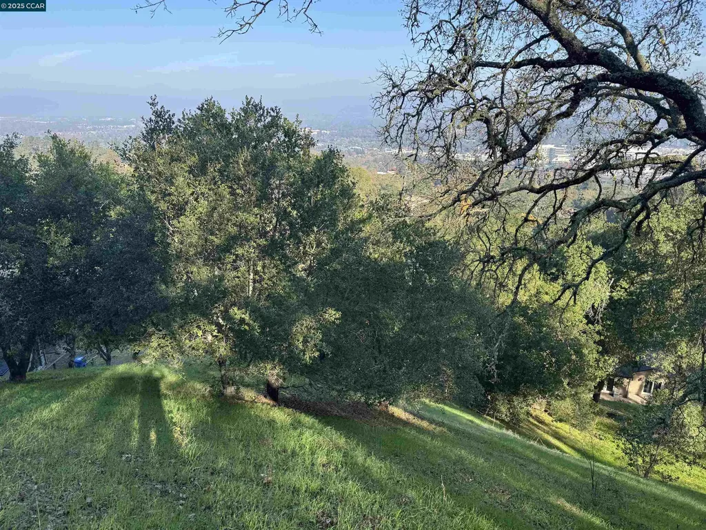 43 Cuesta Way Walnut Creek CA 94597