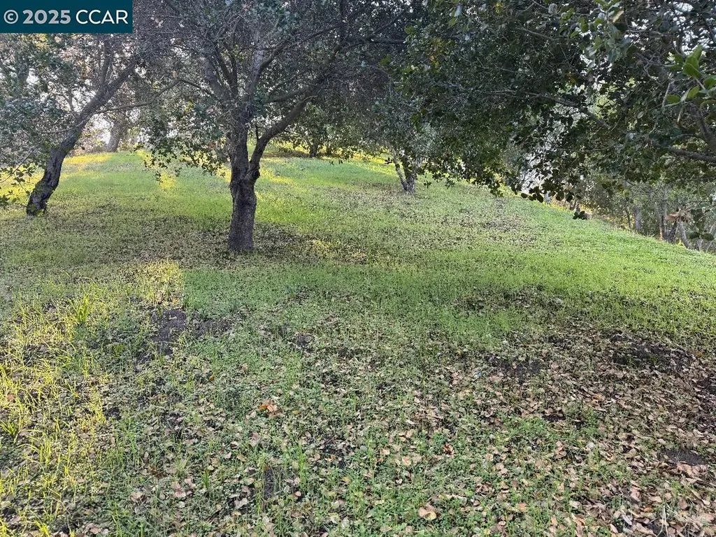 43 Cuesta Way Walnut Creek CA 94597