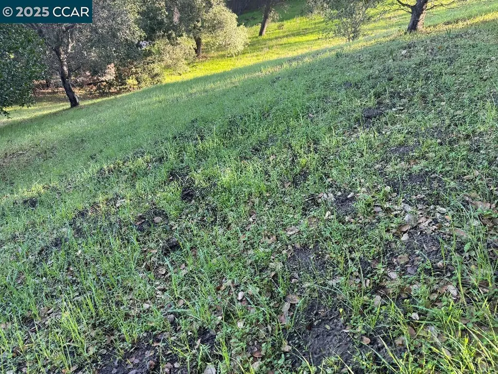 43 Cuesta Way Walnut Creek CA 94597
