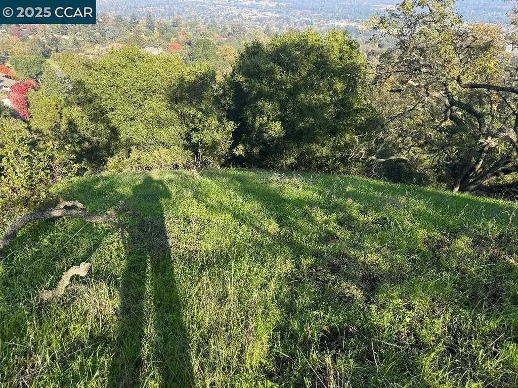 43 Cuesta Way Walnut Creek CA 94597