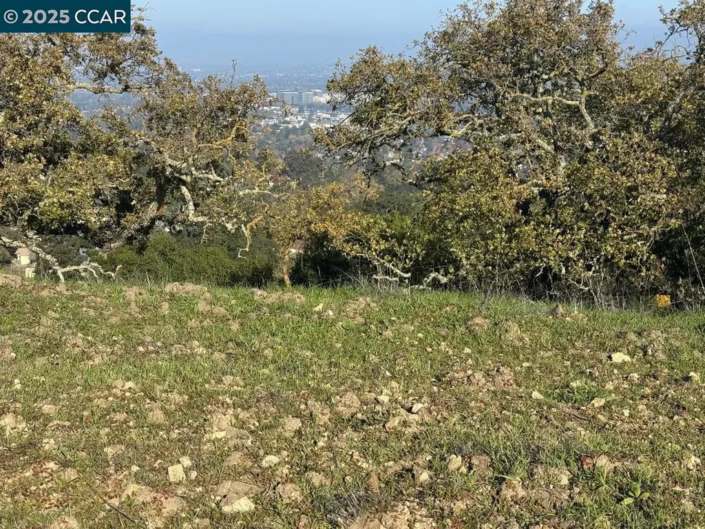 43 Cuesta Way Walnut Creek CA 94597