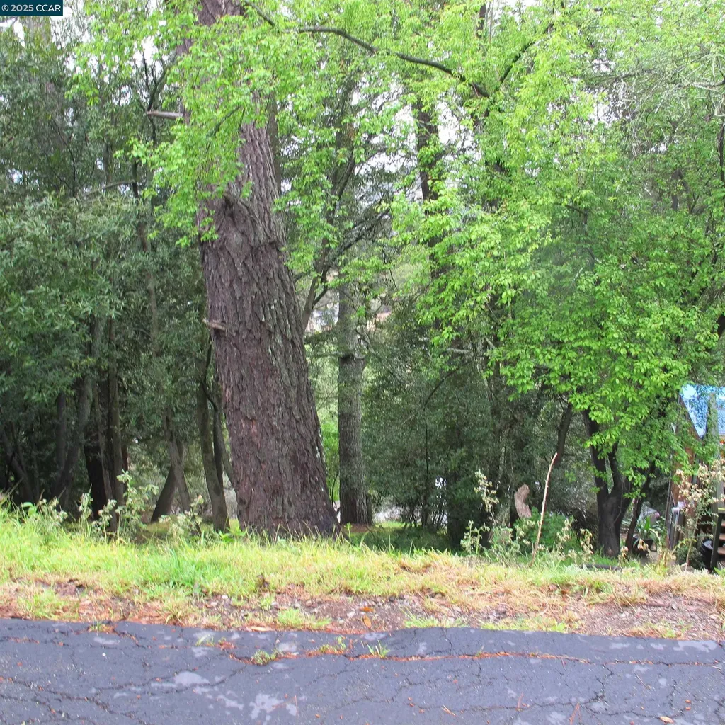 6044 Skyline Boulevard Oakland CA 94611