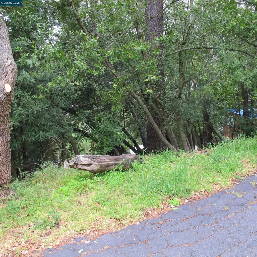 6044 Skyline Boulevard Oakland CA 94611