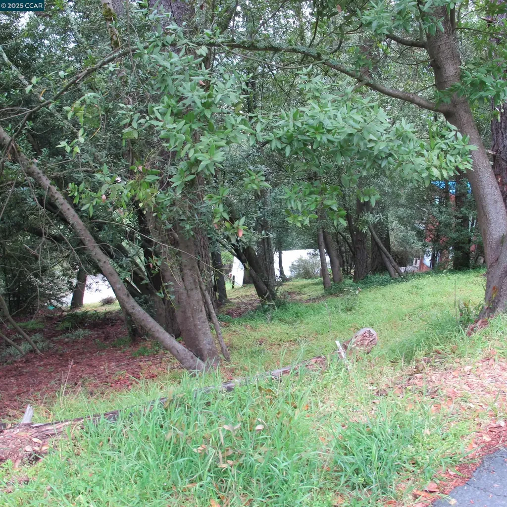 6044 Skyline Boulevard Oakland CA 94611