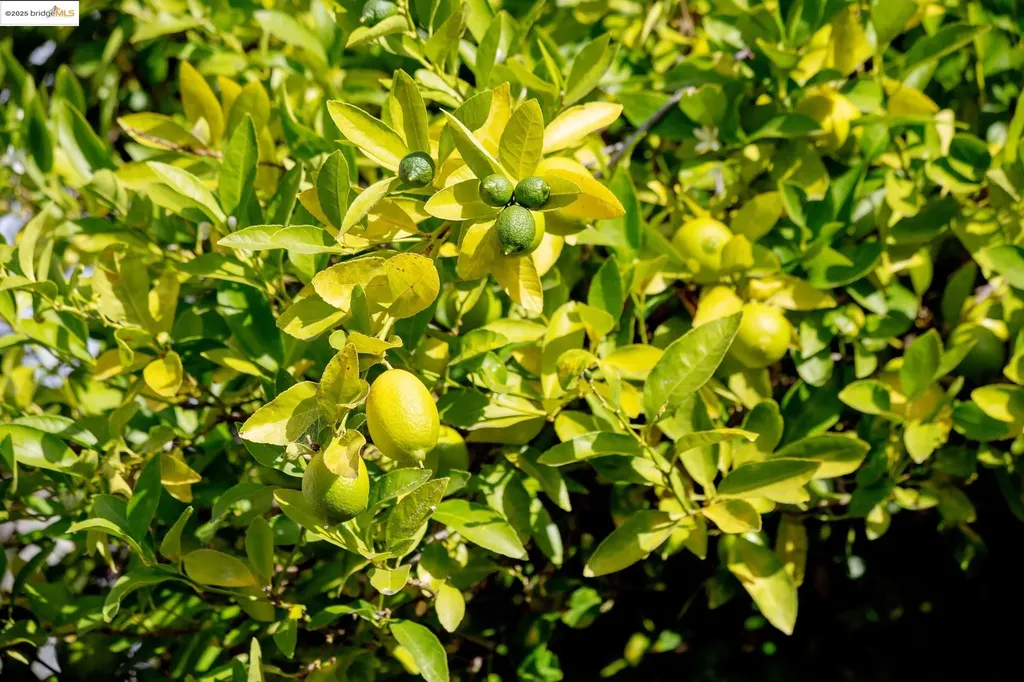 3710 Wisconsin Street Oakland CA 94619