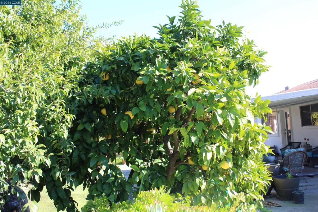 330 W Cypress Road Oakley CA 94561