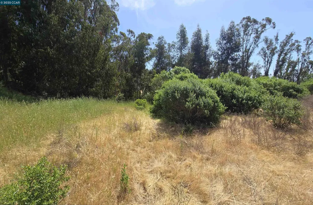 6595 Thorndale Drive Oakland CA 94611