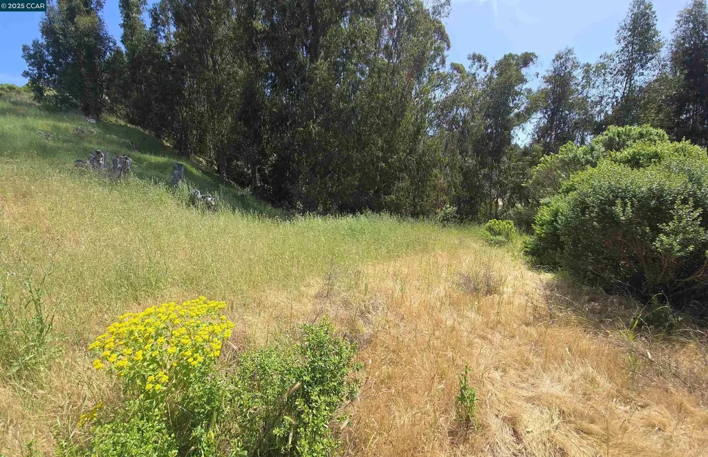 6595 Thorndale Drive Oakland CA 94611