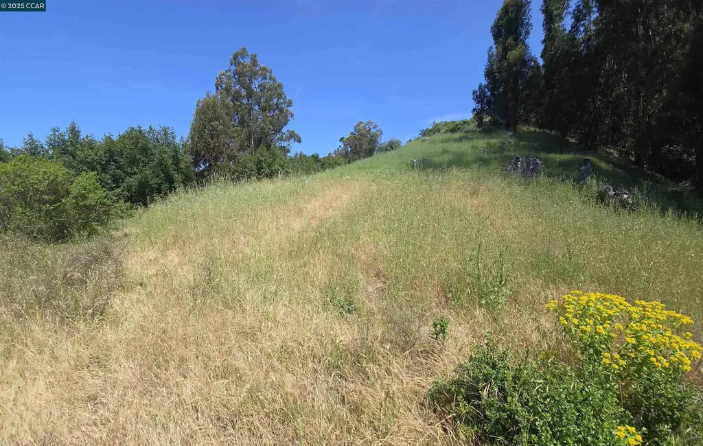 6595 Thorndale Drive Oakland CA 94611