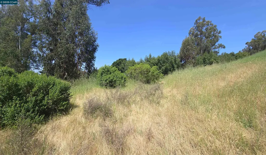 6595 Thorndale Drive Oakland CA 94611
