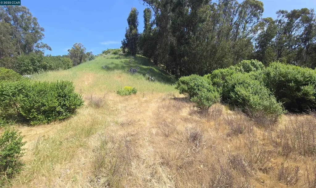 6595 Thorndale Drive Oakland CA 94611