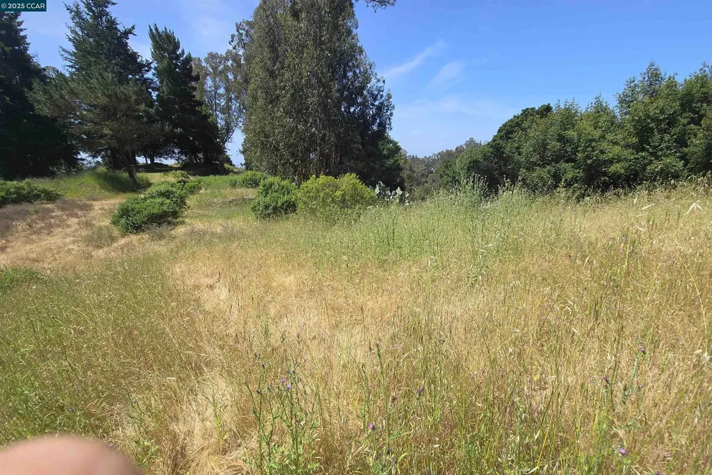 6595 Thorndale Drive Oakland CA 94611