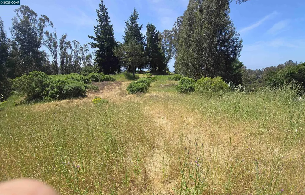 6595 Thorndale Drive Oakland CA 94611
