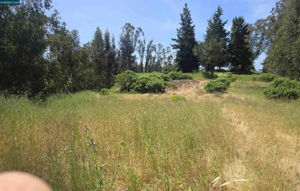 6595 Thorndale Drive Oakland CA 94611